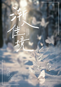 渐入佳境小说